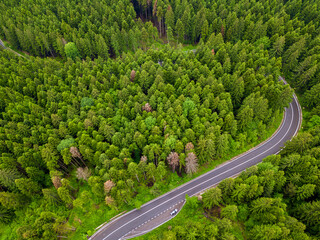 Aerial view of a road in the middle of the forest