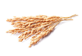 An ear of rice on white backgrounds