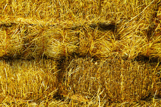 freshly bailed cut hay straw haystack bails stacked bailing feed farm agricultural background