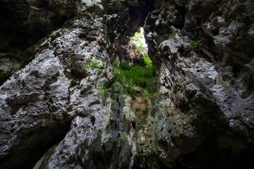 View from inside deer cave in gunung mulu national park 