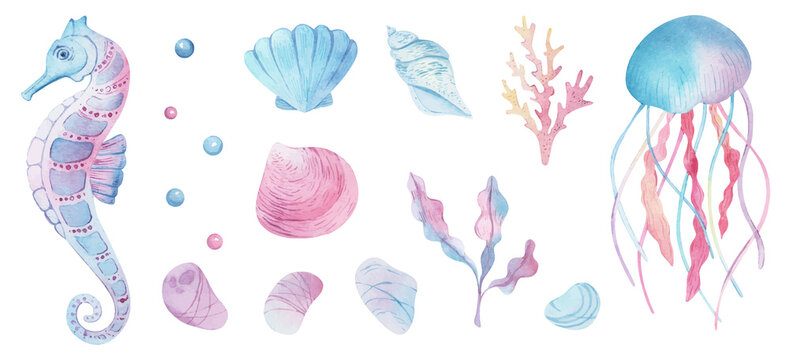 Sea vector animals watercolor. Shell aquarium background. marine illustration, jellyfish, starfish