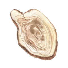 Watercolor wood Tree rings illustration. Hand drawn abstract background. Natural texture