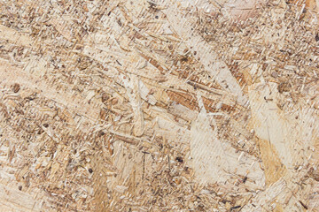 Wood background made from Plywood board