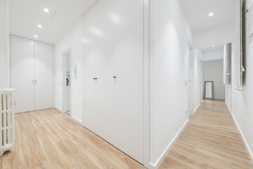 Hallway of a residential home with hardwood floors, white woodwork on doors and windows, and white painted walls, wood-framed mirror, and cast-iron radiator