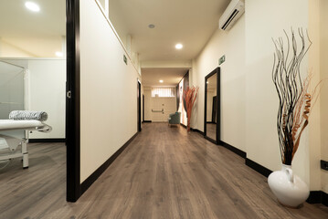 Distributor corridor of a beauty salon with cabins for dermo-aesthetic treatments