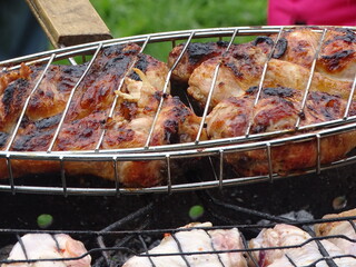 grilled meat on the grill
