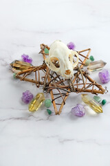 Gemstones minerals, animal skull and pentagram made of branches on abstract marble background....