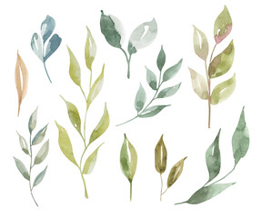 Watercolor green, mint, lilac wild leaves set. Vector. Hand drawn floral illustrations