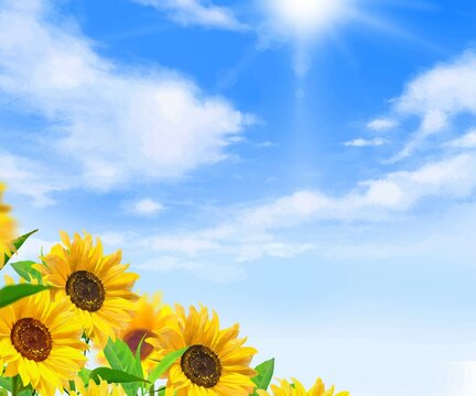 太陽の光が差し込む雲のある青空に美しいひまわり畑の初夏フレーム背景素材
