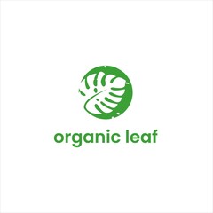 organic monstera leaf logo design © koji antero