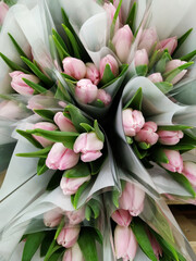 Pastel pink tulips on sale