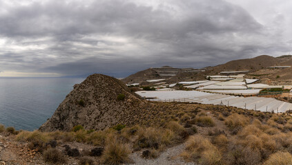 desert landscape under an overcast sky with many plastic greenhouses for agricultural mass...