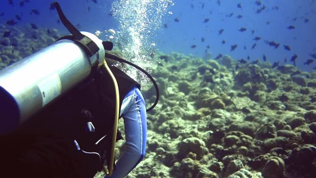 circle panoramic view of diver who surfacing. Maldives
