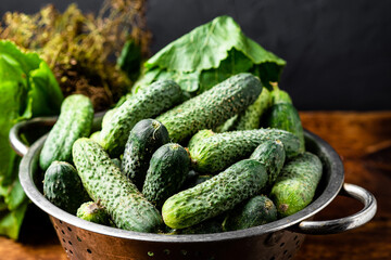Fresh organic cucumbers in a sieve on a dark wooden background. Preparing for pickling.