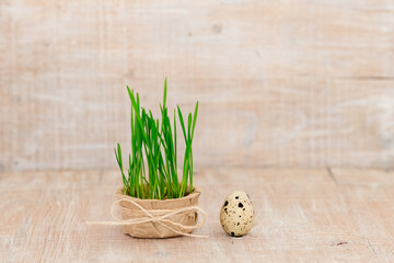 Easter egg on a rustic wooden background