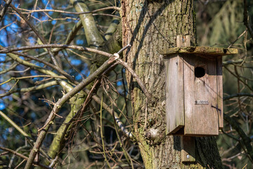 wooden bird house