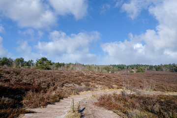 Tonnenberg - Zwolse bos bij Speuld