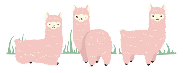 Vector illustration cute and beautiful lama on white background. Charming character in different poses with sleeps, looks back and smiled sweetly in cartoon style.