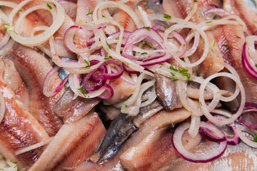Marinated herring fillet with onion and dill in oil.