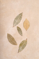Leaves of bay dried pepper lie on a beige background