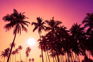 Pink vivid tropical sunset with coconut palm trees silhouettes on ocean beach