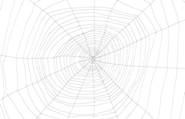 Toile d’araignée 