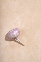A lilac head of garlic lies on a beige background. bright sunlight