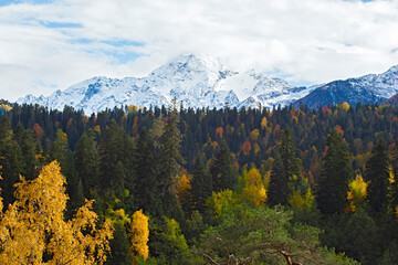 Autumn forests around Arkhyz