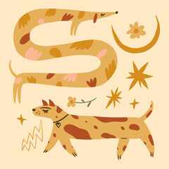 Vector clipart dog set dachshund stickers. Dogs breed. EPS and JPG illustration. Funky doodle trendy print, colorful handdrawn childish cartoon art. Groovy fauve abstract collage decor elements in