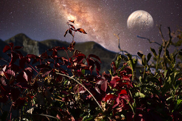 Farnocchia in alta Versilia