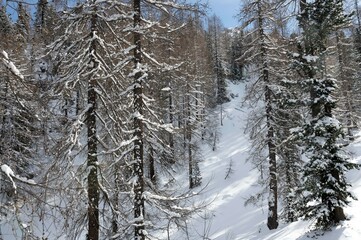 Cortina d'Ampezzo Dolomiti Italy Snow