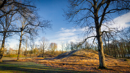 Viking Mounds