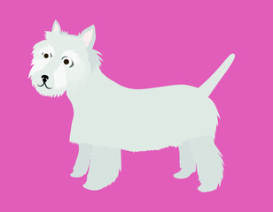 West Highland Terrier funny character white dog