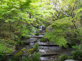 Beautiful landscape of stream running down in small waterfall in the forest. 