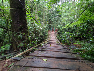 Obraz premium Reserva Forestal El Montuoso