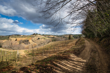 Fototapeta premium Land of Tuscany in Italy