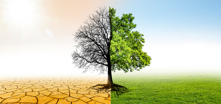 Klimawandel in eine gr&uuml;ne Umwelt