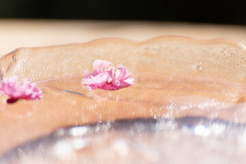 水に浮かぶ梅の花