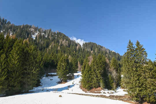 The area around Lago dei Caprioli