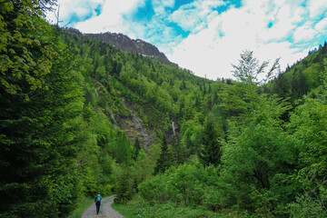 Woman on a hiking trail in the lush green dense forest in the Karawanks in Carinthia, Austria. Borders between Austria, Slovenia, Italy. Triglav National Park. Woodlands, wanderlust. Waterfalls