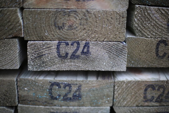 C24 Images – Browse 26 Stock Photos, Vectors, and Video | Adobe Stock