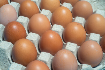 Close-up shot of chicken eggs placed in an egg carton. Protein foods are suitable for everyone.