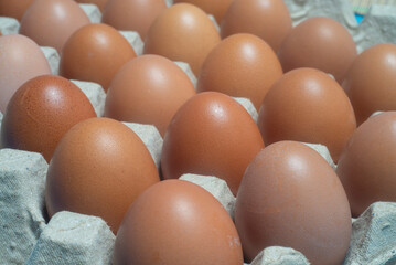 Close-up shot of chicken eggs placed in an egg carton. Protein foods are suitable for everyone.