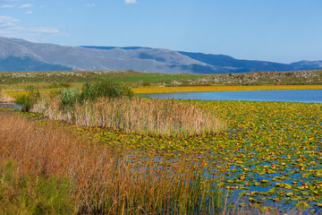 Gorgeous view of Urasar lake in Armenia