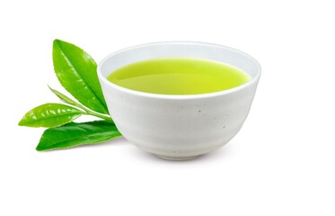 緑茶 煎茶 湯呑み イラスト リアル 
