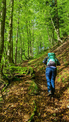 Woman on a hiking trail in the lush green dense forest in the Karawanks in Carinthia, Austria. Borders between Austria, Slovenia, Italy. Triglav National Park. Woodlands, wanderlust. Breathing, fresh
