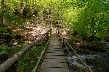 Bridge on the over a river near a footpath