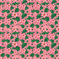 Seamless pattern with pink frangipani flowers and green leaves. Spring blossom. Seamless floral pattern.