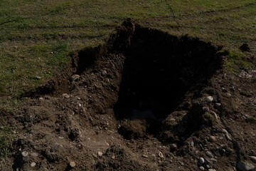 tree planting hole in the park