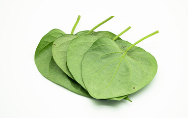 betel leafs isolate on white background